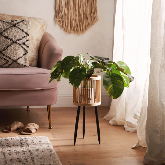 Pawnee Bamboo Plant Pot