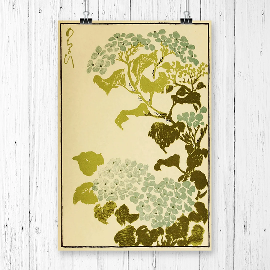 'Hydrangea Japanese Oriental Art' Graphic Art