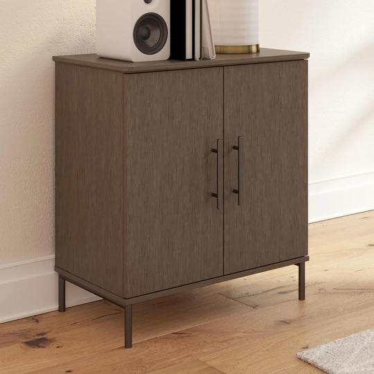 Vivinne 2 -Door 2 -Shelf Storage Cabinet