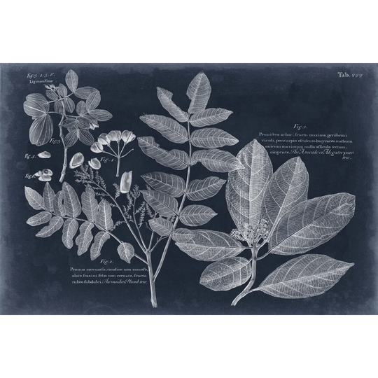 Foliage On Navy V