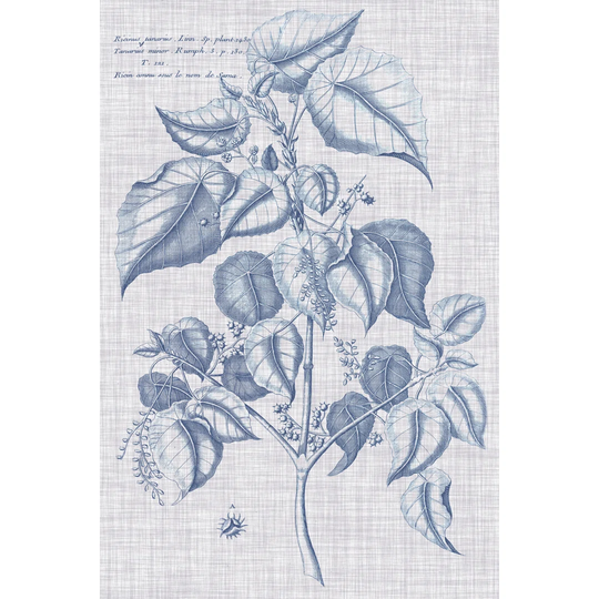 Navy & Linen Botanical VI by Vision Studio - Wrapped Canvas Art Prints