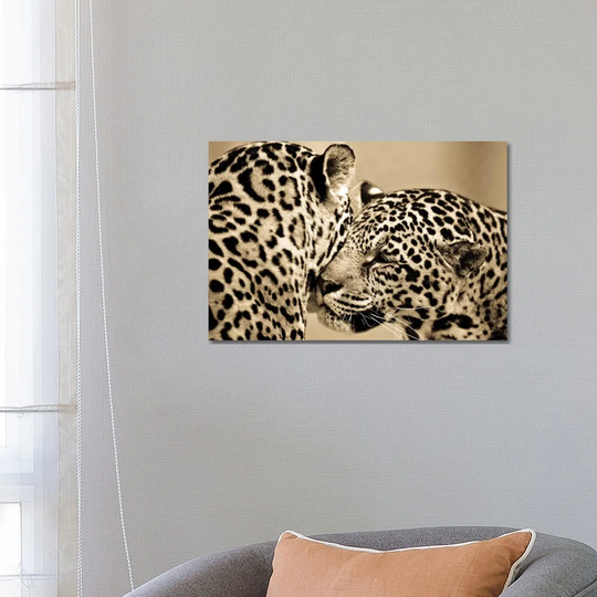 True Love by Goran Anastasovski - Wrapped Canvas Photograph