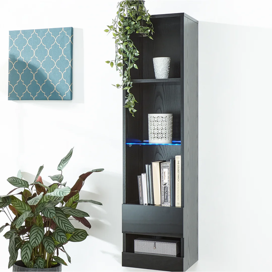 Kedzie Wall Mounted Display Cabinet with Lighting