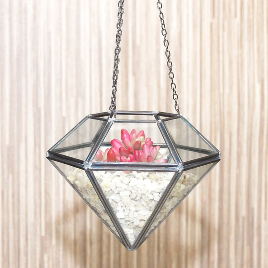 Scotland Glass Terrarium