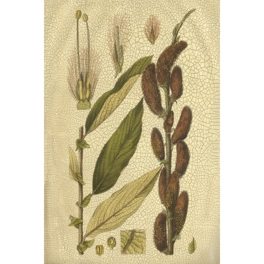 Golden Bough II - Wrapped Canvas Graphic Art