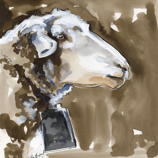 Side Eye Sheep I by Jennifer Paxton Parker - Wrapped Canvas Painting