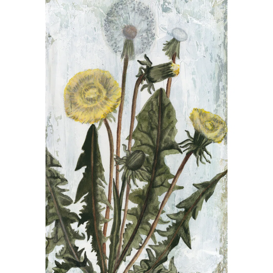 Dandelion Patina II by Naomi McCavitt - Wrapped Canvas Art Prints