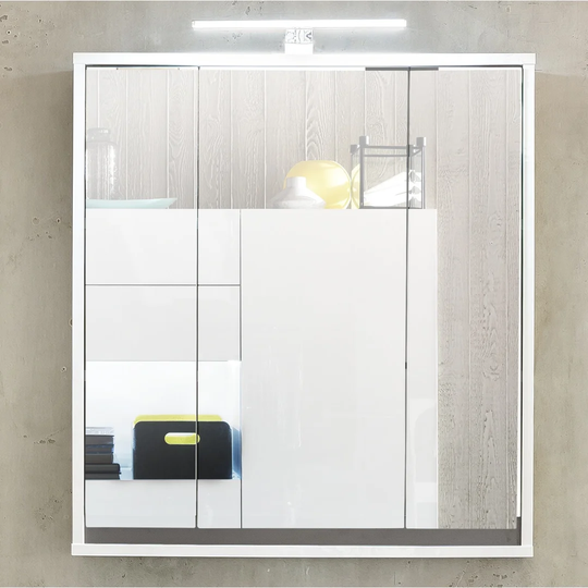 Tollison 67 x 73cm Wall Mounted Mirrored Cabinet