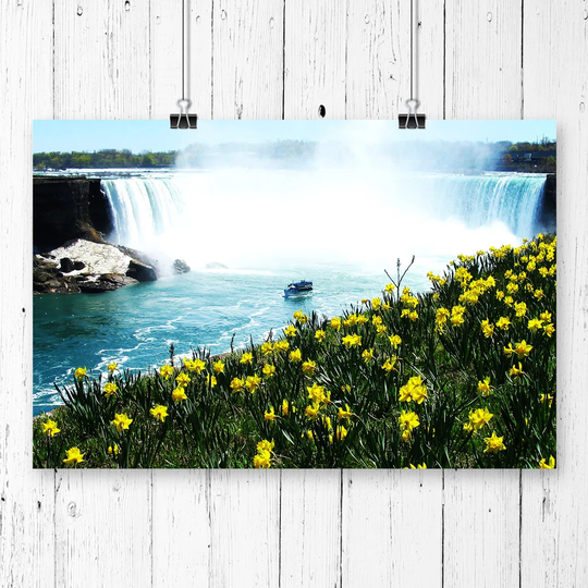 'Niagara Falls Daffodils Flowers' Photographic Print