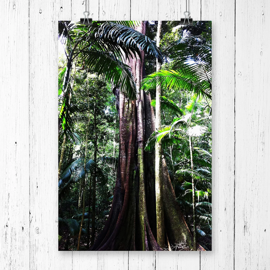 'Jungle Rainforest' Graphic Art
