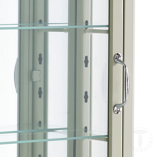 Wall Mounted Display Cabinet