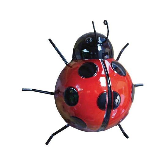 Winooski Decorative Ladybug