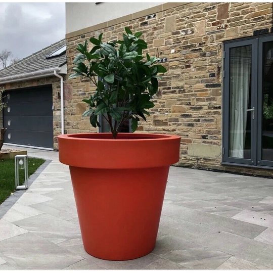 Red Pot
