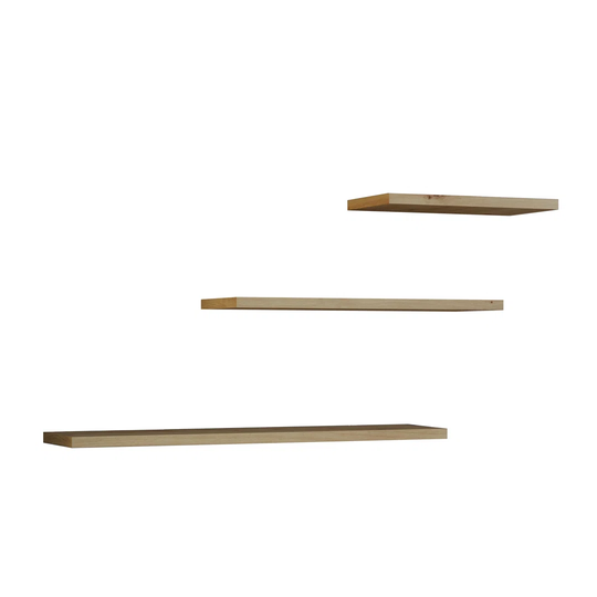 Cannan 3 Piece Floating Shelf Set