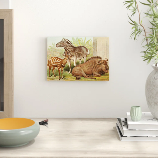 'Vintage Natural History Bontebok, Quagga & Gnu' Graphic Art