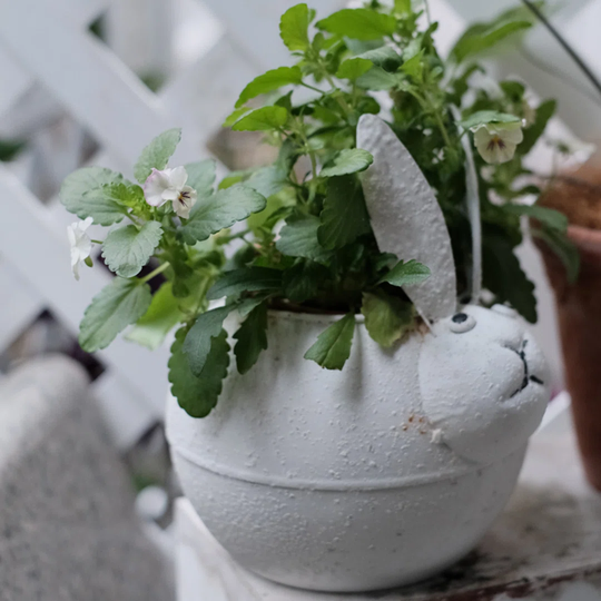 Colombo Metal Plant Pot