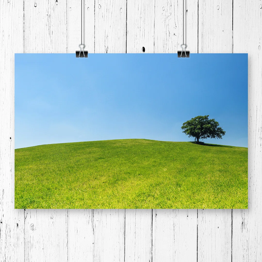 'Landscape Tree Upon a Hill' Photographic Print