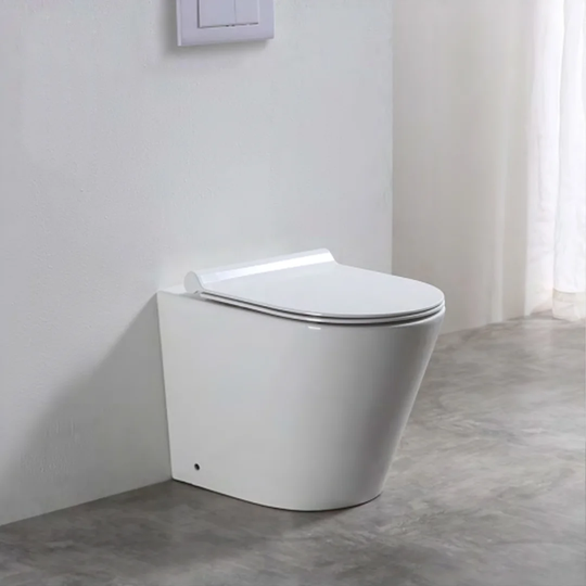 Jamaica Back to Wall Toilet with Soft Close Seat