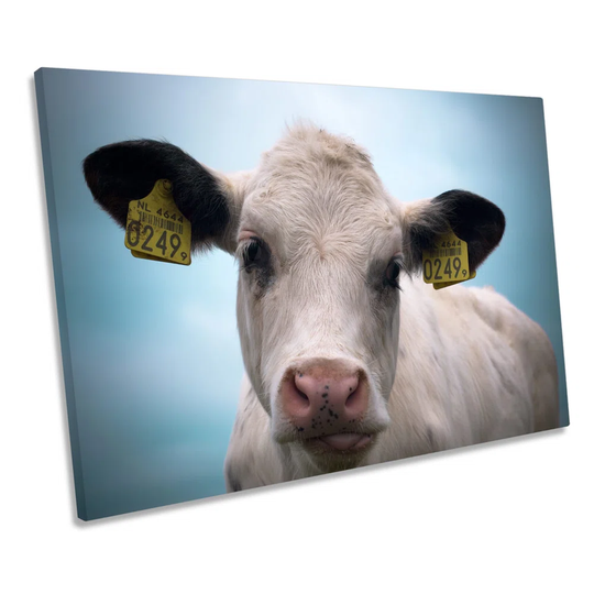 Farm Cow Face CANVAS WALL ART Box Framed
