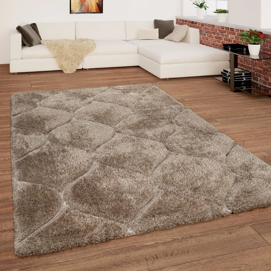 Sudbury Shaggy Beige Rug