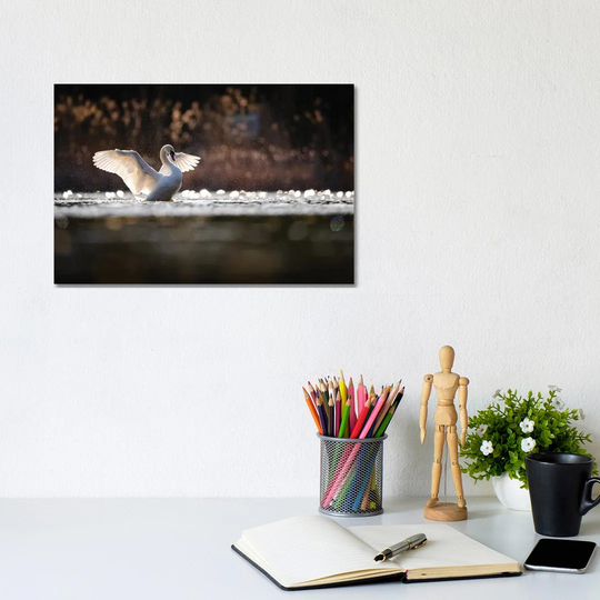 Mute Swan by Mateusz Piesiak - Wrapped Canvas Photograph