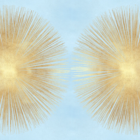 Sunburst Gold on Photograph Light Blue Ii - Wrapped Canvas Art Prints