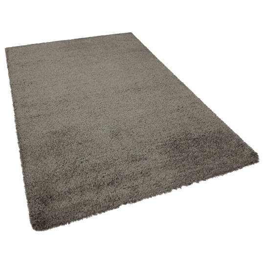Symple Stuff Detroit Anthracite Shaggy Cotton Machine Made Area Rug