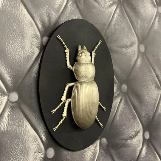 Insect Wooden Board Wall Décor