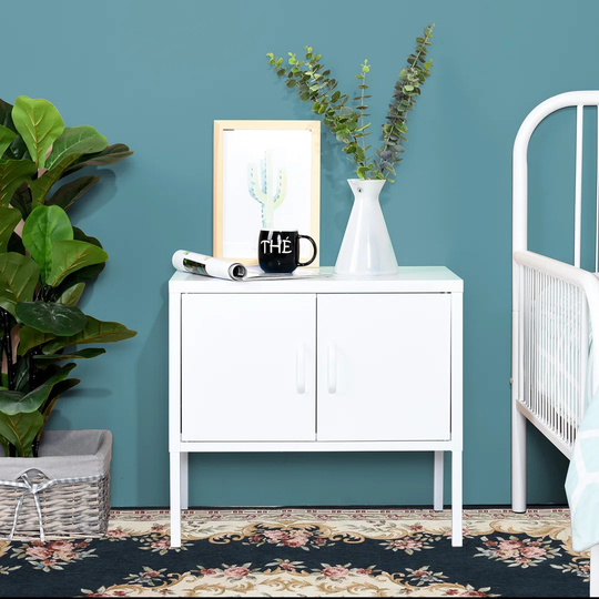 Decastro 2 Door Storage Cabinet