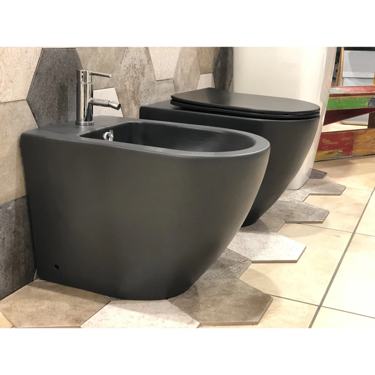 Bidet Toilet with Soft Close Seat