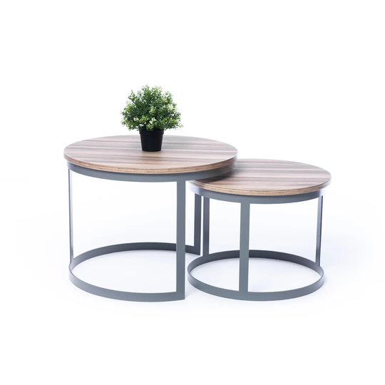 Alderman 2 Piece Coffee Table Set