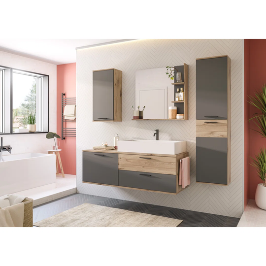 Haidynn Wall Mounted Bathroom Mirror