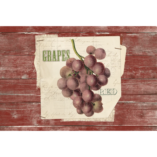 Red Grapes by Katie Pertiet - Wrapped Canvas Painting Print