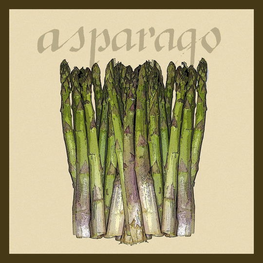 Italian Vegetable I - Wrapped Canvas Graphic Art