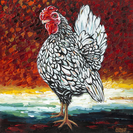 Fancy Chicken II - Wrapped Canvas Art Print