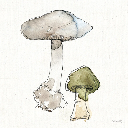 Fresh Farmhouse Mushrooms III by Anne Tavoletti - Wrapped Canvas Painting