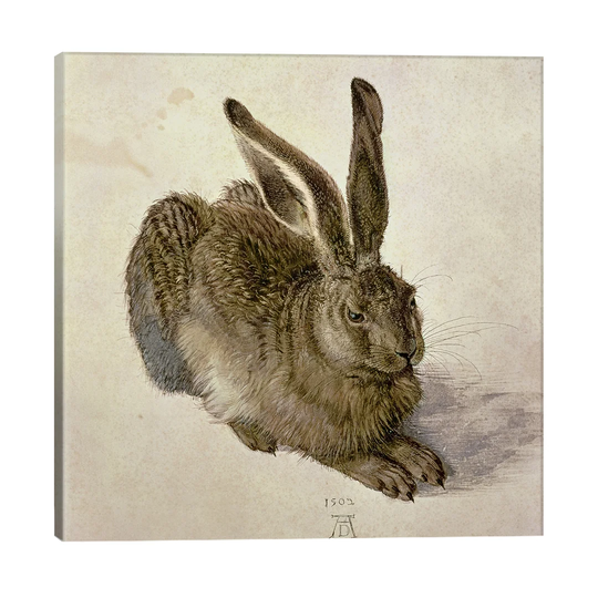 Hare, 1502 by Albrecht Dürer - Painting Print on Canvas