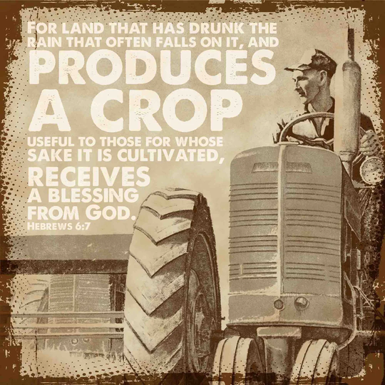 Farmers Blessing - Wrapped Canvas Advertisement Print