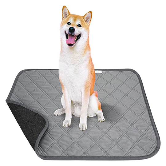 2 Dog Pee Mats, apis Educators Learning, Reusable Waterproof Cushion for Pee, Convenient Sewing Dog Cat, Rabbit-50×70cm