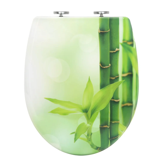 Dejohn Soft Close Elongated Standard Toilet Seat