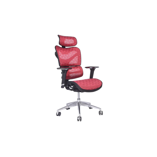Havell Ergonomic Mesh Desk Chair