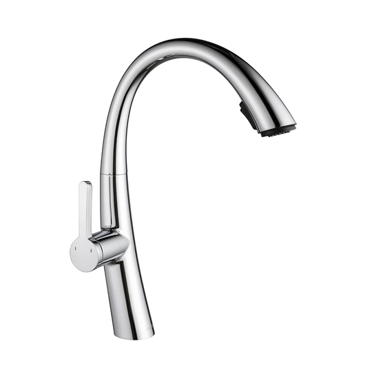 Galilee Pull Out Single Lever Monobloc Tap with Spray