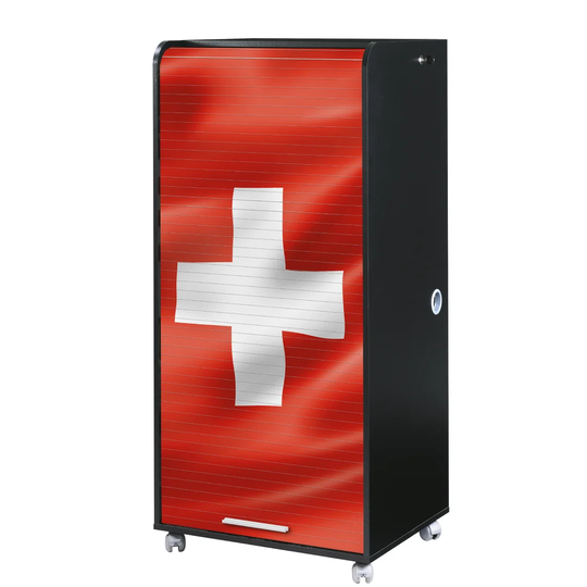 Graziella 4 -Shelf Storage Cabinet