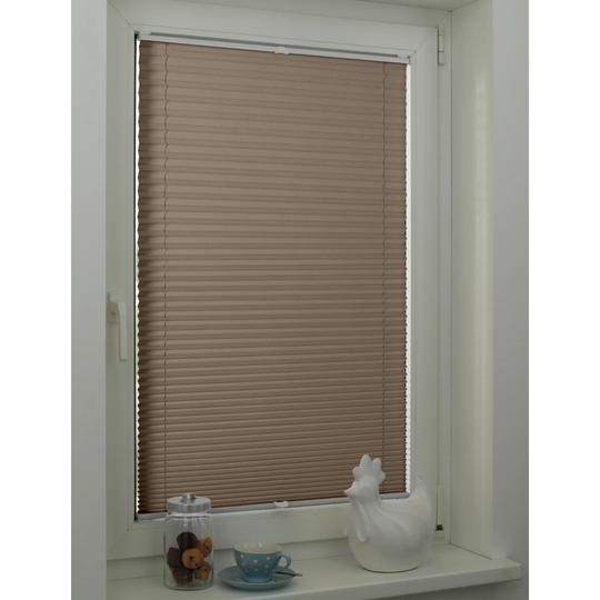 Semi-Sheer Pleated Blinds