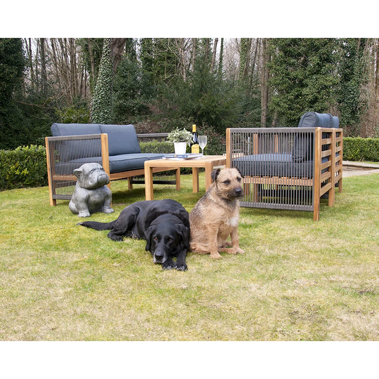 Casina Solid Wood 4 - Person Seating Group with Cushions
