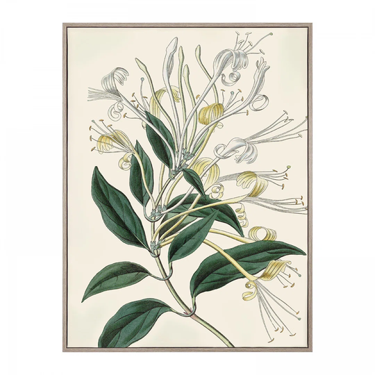 Flourishing Foliage