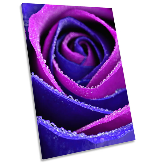 Rose Flower Pink Floral Purple - Wrapped Canvas Graphic Art