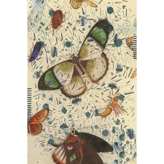 Confetti With Butterflies IV - Wrapped Canvas Painting