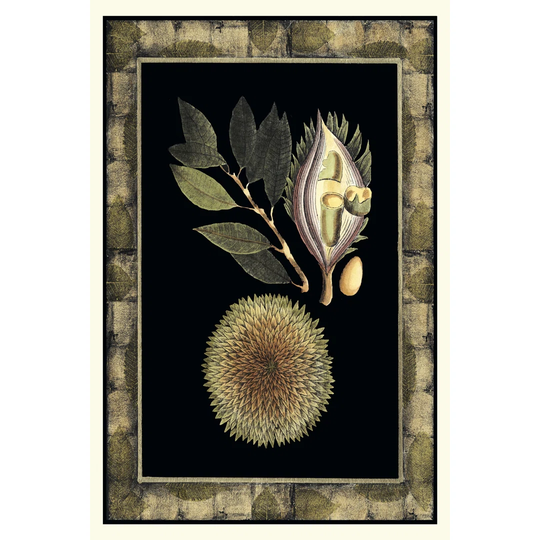 Tropical Bounty III by Vision Studio - Wrapped Canvas Graphic Art
