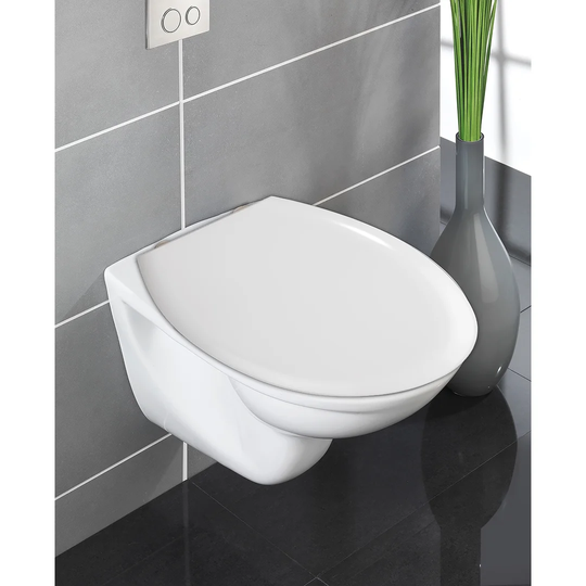 Devillage Soft Close Elongated Toilet Seat